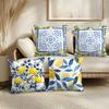 Lemon Cushion Cover Soft Plush Throw Pillow Cover  DoubleSided Printed Cushion Case  Sofa  Home Decor