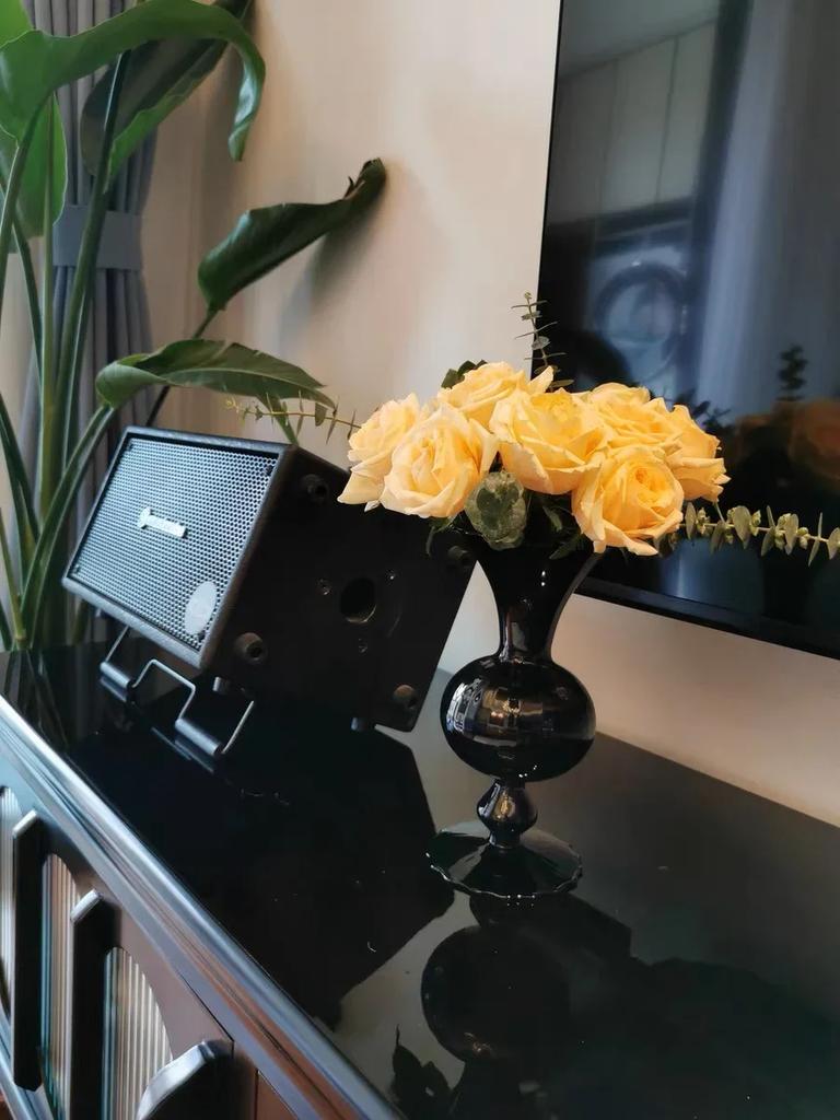 European Minimalist Medieval Black Nitrate Glass Vase Living Room Bedroom Dining Table High-end Decoration Exquisite Ornaments