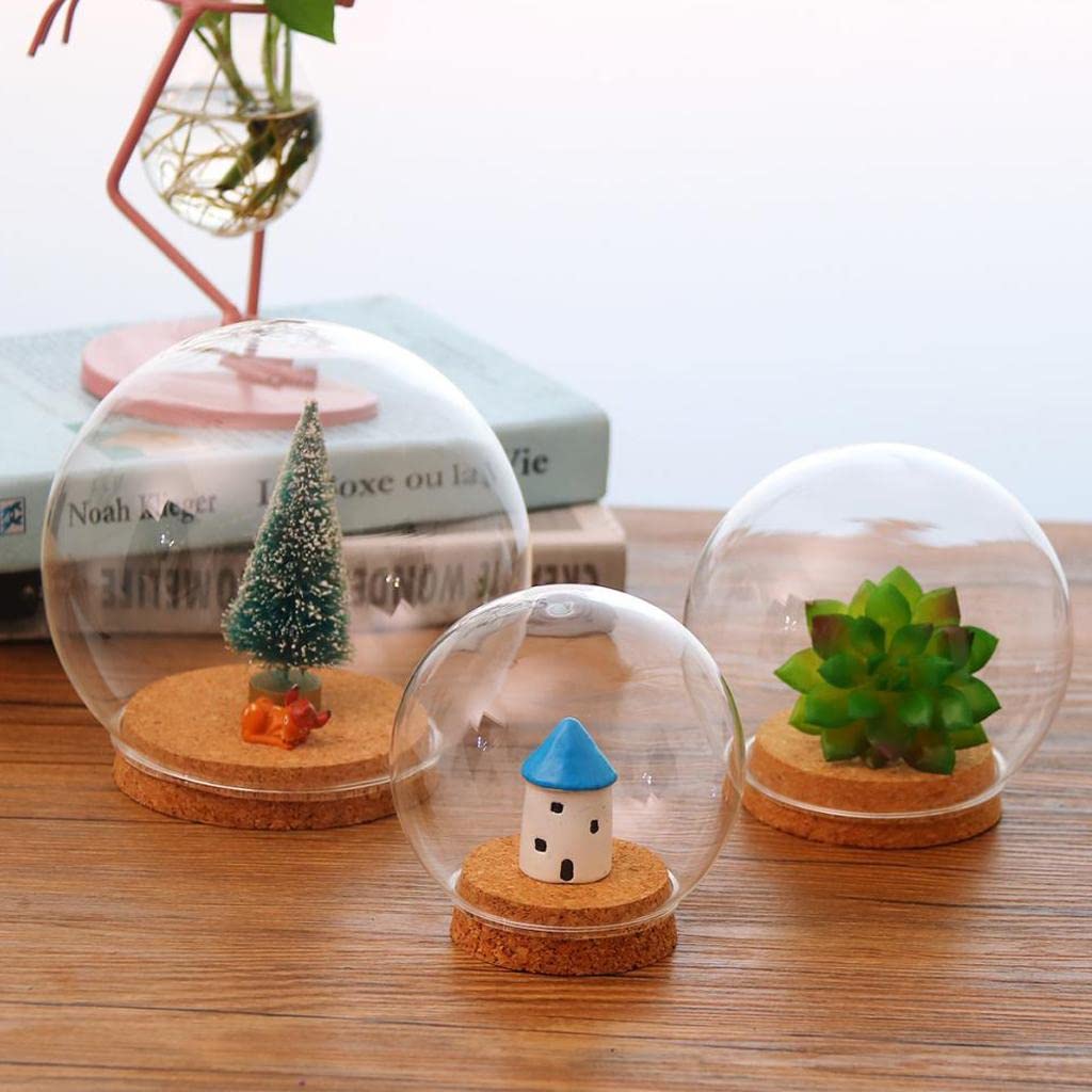Fenteer 2-Piece 12cm Diameter Glass Dome Cover with Wood Cork, Cloche Jar Terrarium, Wedding Reception Decoration, Miniature Craft