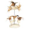 Jouet Pour Chat - Naturel - Sur Ressort - Ø 15 Cm - 30 Cm De Hauteur - Amusement Garanti