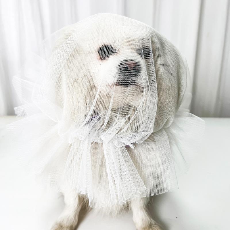 Copricapo Traspirante per Cani Maschera Protettiva per Animali Domestici Copricapo Confortevole Anti-Morso Copricapo Anti-Zanzare Prevenzione Mangiare Casuale