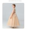 Girls Kids Puffy Princess Dress Wedding Party Performance Flower Girl Dress