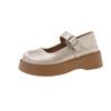 Niche design Mary Jane women's shoes mid-heel soft sole not tired feet 2025 new versatile skirt shows small feet pure desire