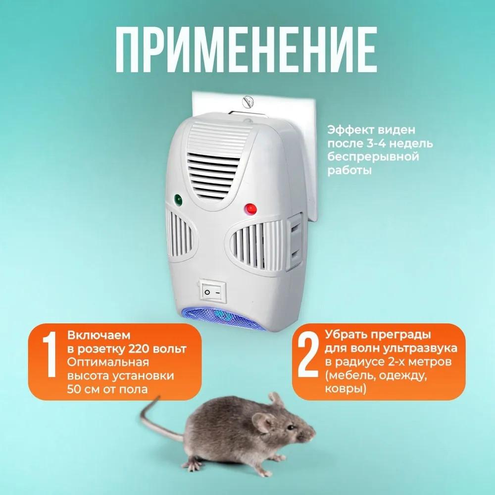 Snake Solar Rat Outdoor  Drive