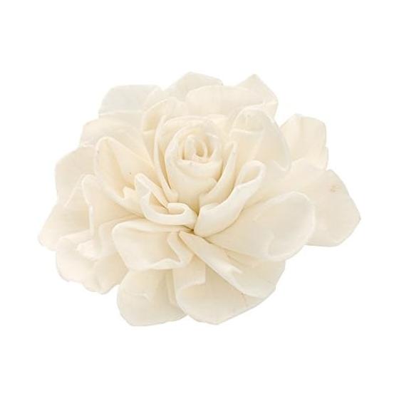 Daichi Farm Dried Flower Solar Dahlia Head White Flower Diameter 4.0cm 9 Pieces DO032710-010