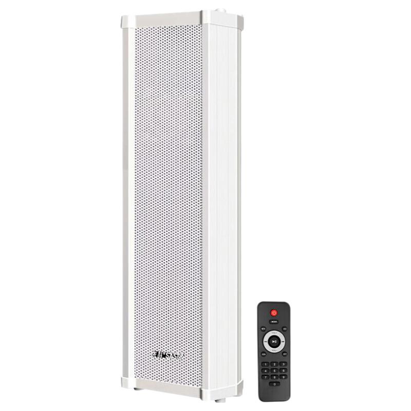 SAST YL-21 40W Outdoor Bluetooth Waterproof Wall Speaker CN plug (adapter included)