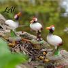 Decorative Potted Plant Ornaments Resin Red-Crowned Bird Figurines Realistic Statues with Rock Base Mini Landscape Figurines for Tea Table