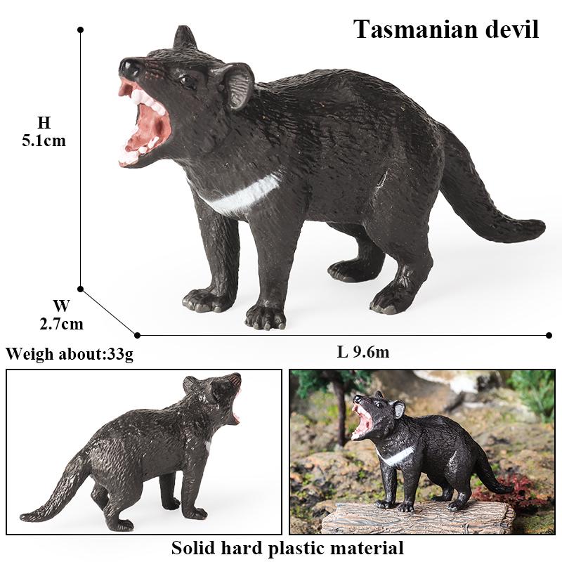 Oenux Classic Australian Wild Animals Kangaroos Koala Platypus Tasmanian Devil Echidna  Cassowary Model Figurine Toy Kid Gift