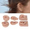 3 Pairs Silicone Ear Model Soft Flexible Simulation Human Ear Model for Piercing Practice Jewelry Display