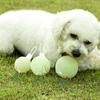 Bite-Resistant Teething Toy Ball for Golden Retrievers, Labradors, and Dogs of All Sizes