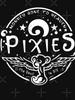 Pixies The Pixies Are Monkeying Around In Heaven Essential T-Shirt
