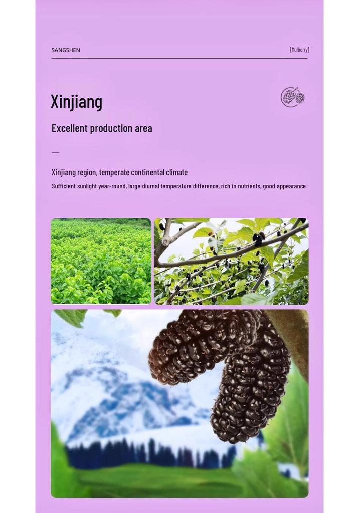 North Tongnei Ting Shangyong 220g Wash-Free Dried Mulberry Tea - No Fumigation, No Boiling Needed, Genuine Product