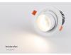 LED Zoomable Recessed Ceiling Spotlight with Gooseneck for Living Room