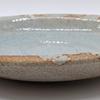 Utsuwa Roan Seto Ware Shinsen Curry Plate, Pasta Plate, Approx. 25cm, Iga Ash Glaze, Made in Japan, Gray, 025-0023