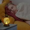 Portable Retro Lantern Lamp Handheld  LED Tent Light Battery Powered Home Decor Lights Outdoor Camping Lantern  Night Lights