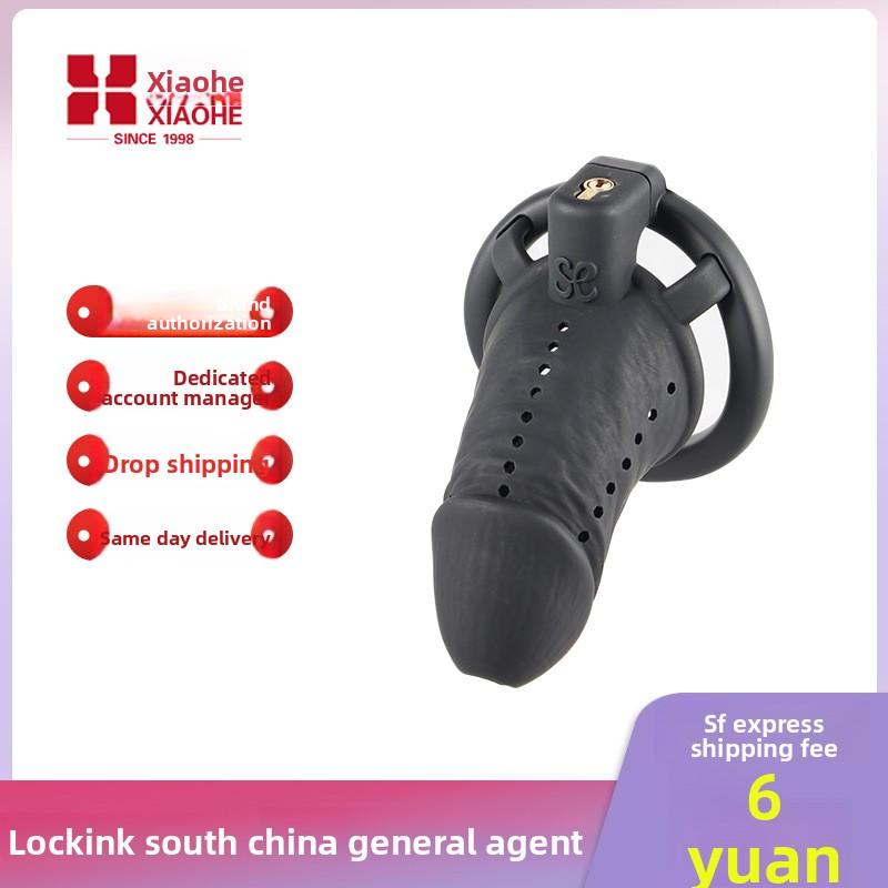 Zhenqi Zhuoyue Premium 3D Seductress Chastity Lock