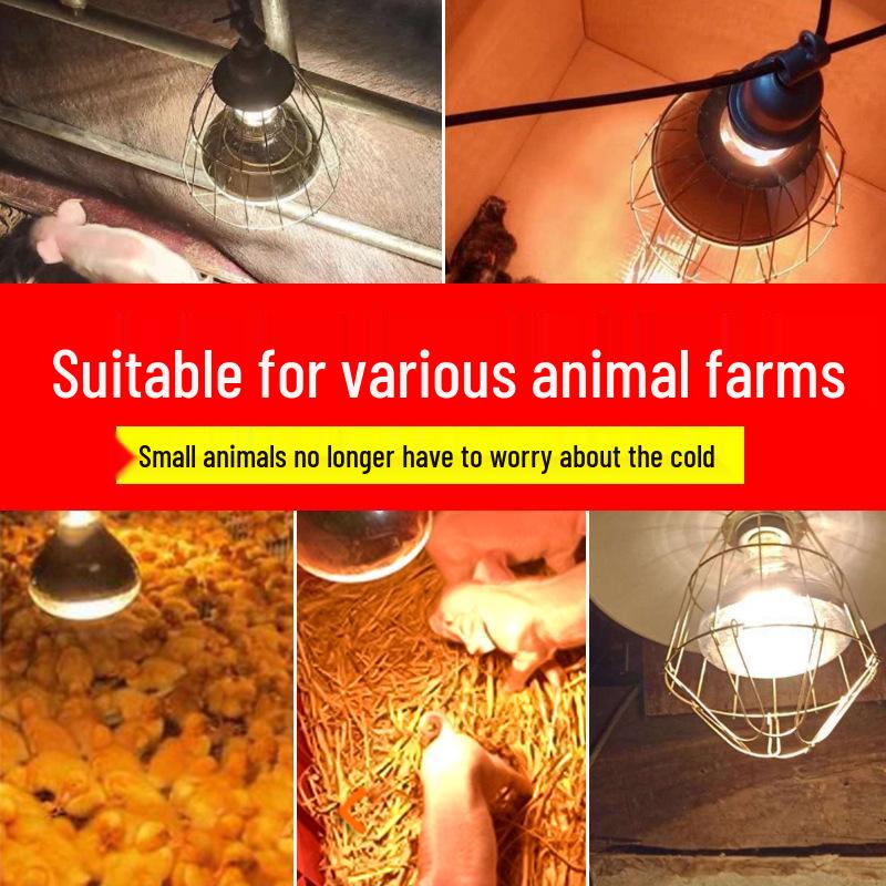 Waterproof Infrared Heating Lamp for Animal Brooding: Explosion-Proof Design for Piglets and Chicks