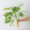 Large Size Artificial Plant 7 Heads Simulation Turtle Leaf Fake Greenery  Leaf  Photo Props