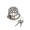 Penis Cage Chastity Device Chastity Lock CB Lock Stainless Steel Penis Cage Wear Adult Game Sex Toy