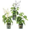 1pcs Leaf Shaped Iron Plant Trellis Plants Growth Supporting Frame for Supporting Vine Climbing Plants Garden Supplies