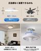 ZXhome 50cm Ceiling Fan with 360° Swing and Rotation, Circulator, Daylight, Neutral White, Warm White, Stepless Color and Dimming, DC Motor,