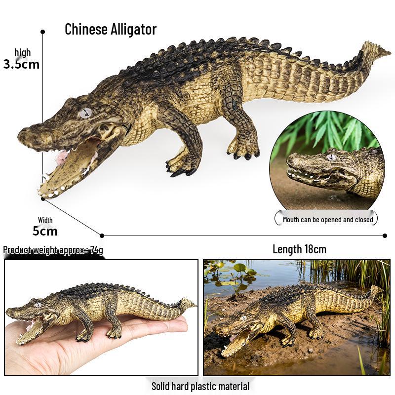 Crocodile Animal Model Toy: Caiman, Gharial, Nile Crocodile, Wild Boar, Deinosuchus - Kids' Educational Ornament