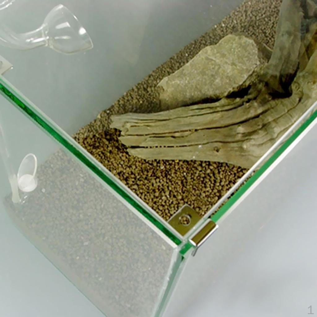 4 Aquarium Clips Glass