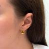 Silver Earrings with Citrine Nano 6.467ct (2171843)