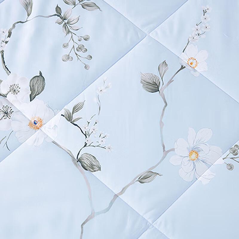 Mengjie Lanxizi Soft Summer Quilt