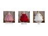 Children's Long Sleeve Evening Dress with Appliqué Mesh Puff Skirt