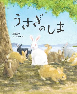 Rabbit Island