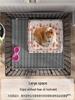 Luxury Villa Dog House with Toilet for Small To Medium Dogs and Cats