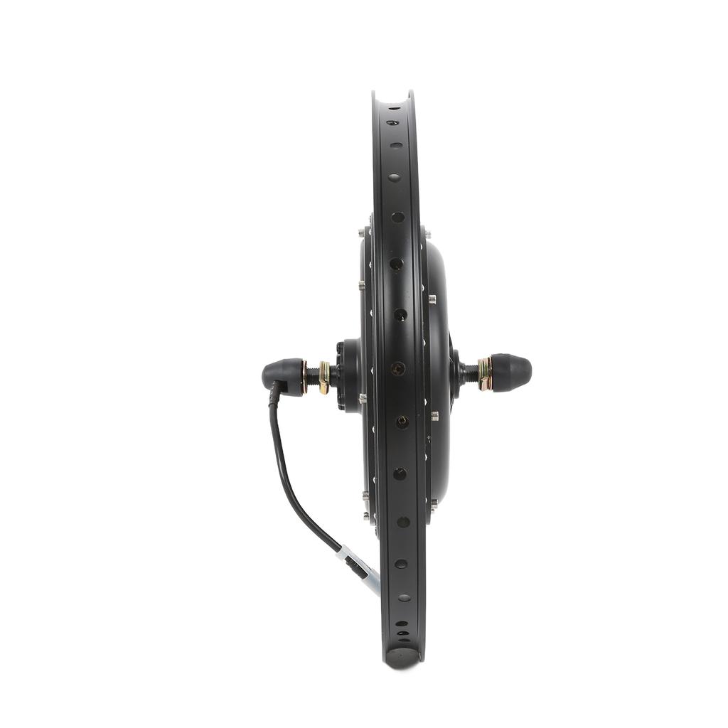 Waterproof Electric Bicycle Conversion Kit 20 Inch Front Wheel 48V 1000W Hub Motor Conversion Kit