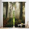 2Pcs Forest Curtain Mystic Dark Fog Atmosphere Deep In The Forest Woodland Nobody Silence For Living Room Bedroom Dining Room