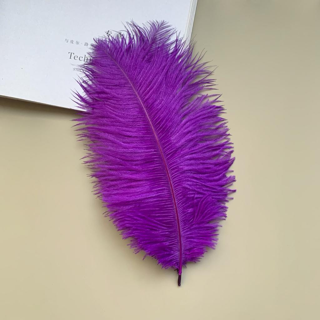 Source Thin Rod Ostrich Hair 20-25Cm High Quality Feather Diy Stage Clothing Accessories Flower Arrangement Material
