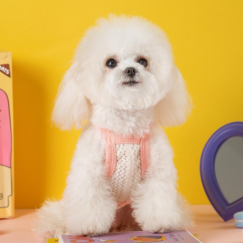 Summer Pet Clothing Thin Breathable Love Two-legged Clothing Teddy Bigbear Small Dog Suspender Cat Dog Clothing