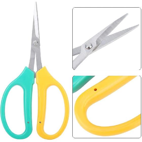 Stainless Steel Scissor, Curved Blade Grape Pruning Shears Fruit Branch Picking Scissors Bonsai Shears for Bonsai,Fruit Trees, Gardens,etc
