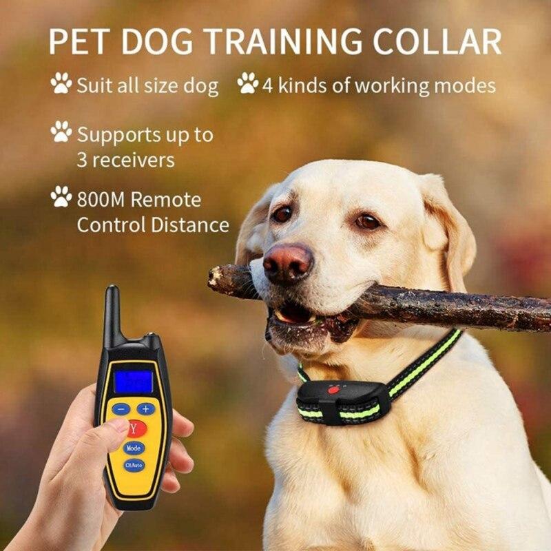 portable dog shock collar