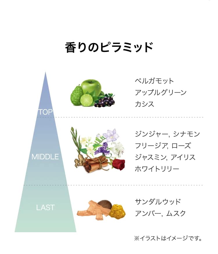 SCENT OF NOTE EAU DE PARFUM HAND CREAM 50ml Eau De Parfum Hand Cream 20g & &