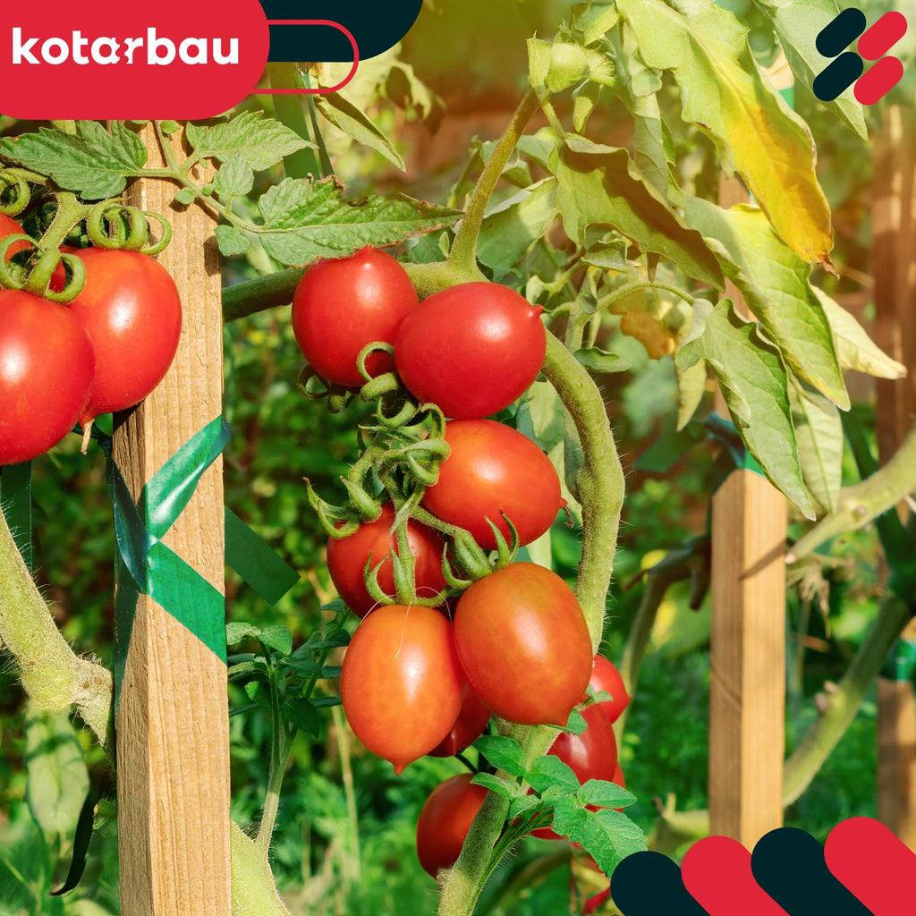Kotarbau® Wooden Tomato Stakes For Vegetables Garden Support For Trees And Shrubs 30 Cm Set Of 15