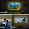 LED Strip Light Switch Dimmable 5V Neon/2835 USB Flexible Light LED Tape Ribbon Light For Mirror Cabinet Stair Decor Lighting