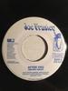 7-Zoll-Schallplatte WAYNE WADE After You VPS8873 Joe Frasier 2003 US Reggae Ska Dub Gebraucht