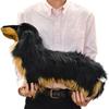 BH8149 HANSA Miniature Dachshund Long Hair