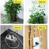Dill Holder Vine Plant Green Plant Wall Climber Hook Wire Fixing Buckle Climbing Vine Modeling Fixing Clip