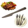 Set de Tacâmuri din Oțel Inoxidabil Stil Italian Lingură Cuțit Furculiță Set Lustruit Cadouri Bucătărie Oțel Inoxidabil 304 de Înaltă Calitate Cadou Rafinat