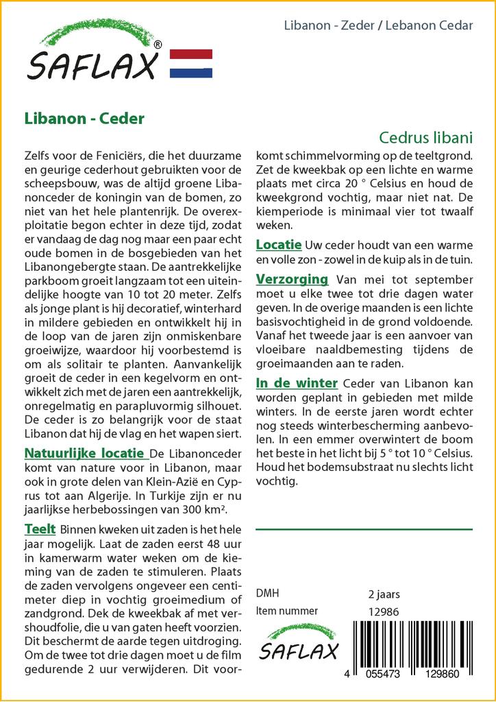 SAFLAX Lebanon Cedar - 20 Seeds - Cedrus Libani