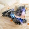 The latest 35cm glowing colored cat doll Kawaii stuffed plush toy figurine cartoon anime cute children's birthday gift doll