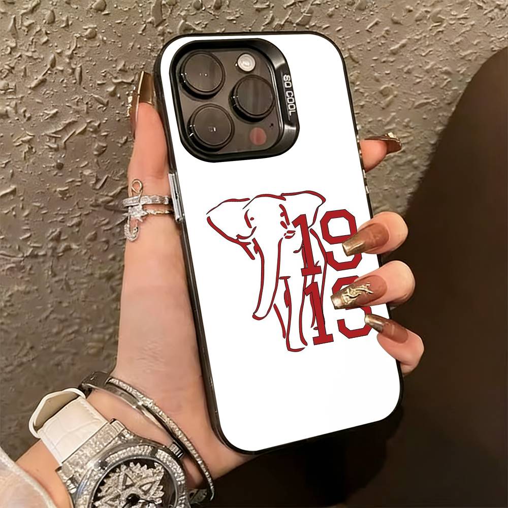 D-delta S-sigma Theta Phone Case For iPhone 17,16,15,14,13,12,11 Plus,Pro Max,XS,Colorful Silver Phone case Funda Cover