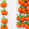 Artificial Vegetable and Fruit String for Different Settings Hanging Garlands