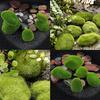 Marimo Moss Balls Artificial Grass Stones Turf Mini Fairy Garden Micro Terrarium